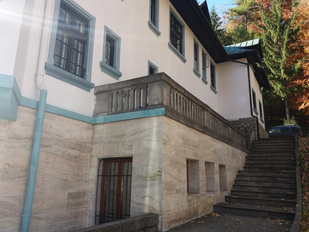 Hotel Tantzi Sinaia Exterior foto